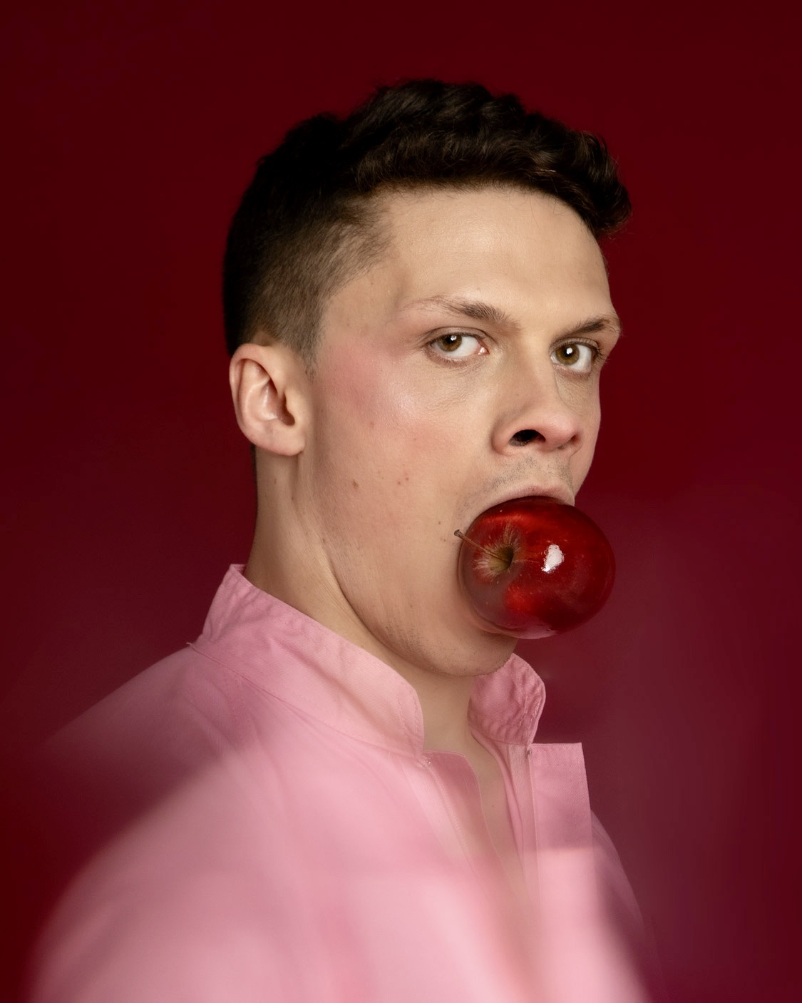 Auf der Spur der Schweine